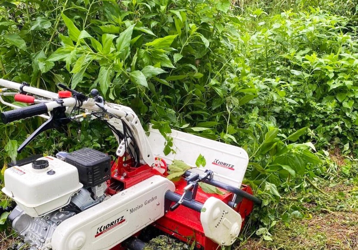 草刈りについて